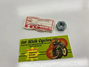 Tuerca de cubo de freno 10 mm Z1 H1 H2 C2 G3 G4 G5 KD KE KH KL OEM NUEVO DE STOCK Kawasaki 42045-005 - Imagen 1 de 3