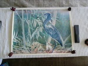 RICK HILLS SIGNED & NUMBERED "LOUISIANA HERON" BIRD ART PRINT - Picture 1 of 6