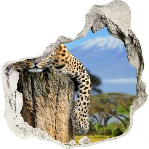 Leopard auf Baumstamm 125x125 cm Wandtattoo Selbstklebender Aufkleber Wanddeko - Bild 1 von 4