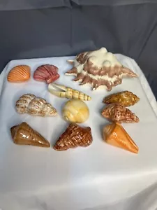 11er Set Keramik Muscheln zum Dekor ~ Unikatfund! - Bild 1 von 5