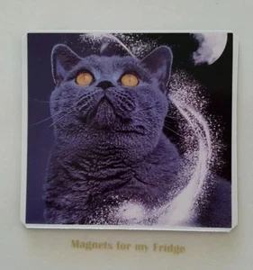 MYSTIC CAT FRIDGE MAGNET - M369 (F)  - Foto 1 di 1