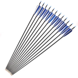 6Pcs 30'' Carbon Arrow Spine600 7.8mm Turkey Feather Archery Recurve Bow Hunting - Picture 1 of 10