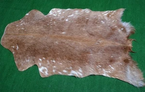 Luxus Ziege Tierhaut Teppich Haar Auf Fläche Größe 96.5cmx66cm Tiere Leder Skin - Picture 1 of 3