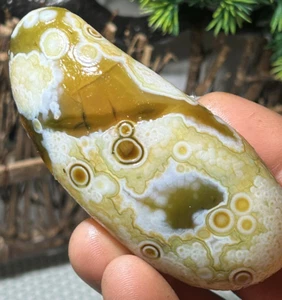 Mongolia Natural Gobi Flor Ojos Ágata Piedra Ágata Colección Espécimen - Imagen 1 de 5