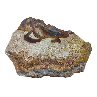 Crazy Lace Agate, slab, old stock, cabbing rough, #R-6604 - Image 1 of 4