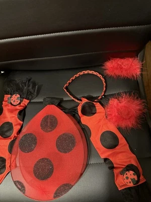 Disfraz de Ladybug para niño 5/6 Foto 1 de 4