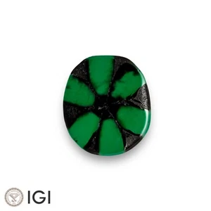 IGI Certified MUZO COLOMBIA Trapiche Emerald 2.23 Ct. Natural OVAL Exceptional - Picture 1 of 5