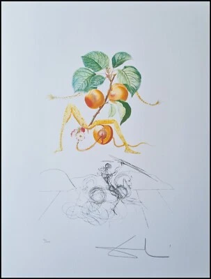 SALVADOR DALI * Flordali * 65 x 50 cm*  signed lithograph * limited # 90/1000 - Bild 1 von 4