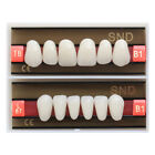 B1 Shade Dental Synthetic Acrylic Resin False Denture U/L Fake Teeth Whitening