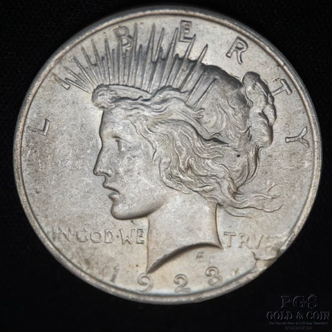 1923 Peace Dollar Mint Error Major Cracked Planchet  24369 Cover