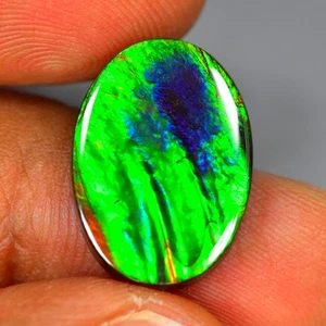 10.20Ct Beautiful Multi-color Flashing Natural Canadian Ammolite Gemstone - Picture 1 of 2
