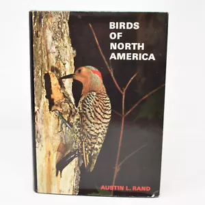 Birds of North America Austin Rand Hardcover Illustrated Reference Vintage 1971 Guid - Bild 1 von 23