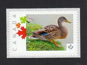 DUCK = Francobollo fotografico Canada 2015 [p15-10-br3/3] MNH - Foto 1 di 2