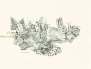 #184 BUNNIES RABBITS * wildlife art print * pen & ink drawing by Jan Jellins - Picture 1 of 1