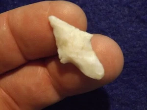 Authentic West Texas Bird Point Arrowhead, Indian Artifacts *FREE SHIPPING* PR22 - Picture 1 of 3