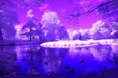 Ultraviolet UV Pass Filter 52mm  ZB2  ** See Video ** For Full Spectrum Modified - Image 1 of 4