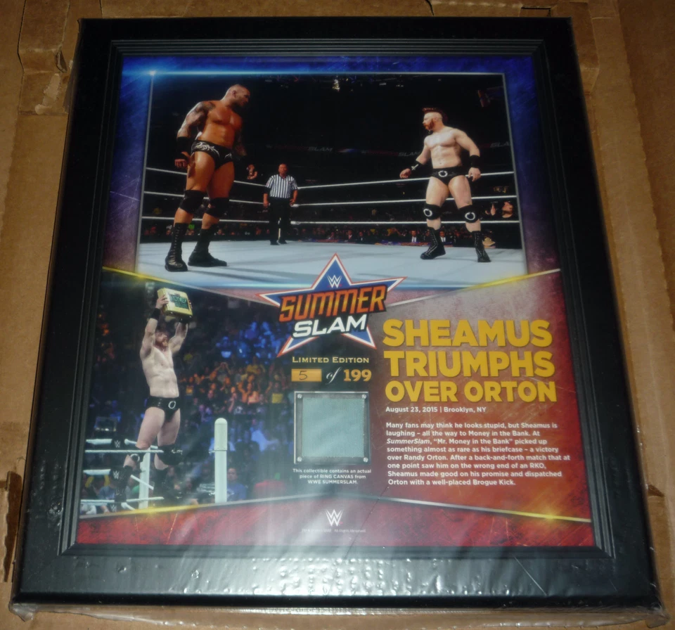 WWE PLAQUE SUMMER SLAM SHEAMUS TRIOMPHS ORTON #5/199 仅 199 在世界上罕见 — 第 1/1 张图片