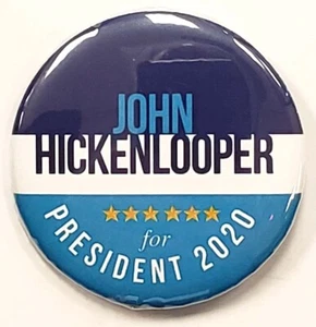 John Hickenlooper 2020 Campaign Button - Picture 1 of 1