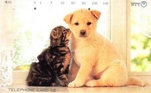 1404 Used Phone Card Japan Kitten Kissing Puppy - Picture 1 of 1