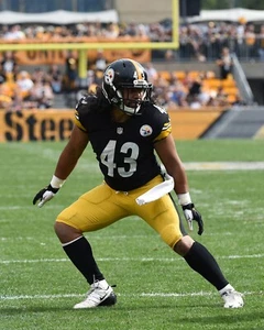 Troy Polamalu in Action Pittsburgh Steelers 8x10 NFL Football Photo - Picture 1 of 1