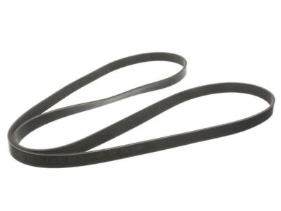 For 1998-2002 Cadillac Eldorado Multi Rib Belt Primary 61564PB 2001 2000 1999 - Image 1 of 2