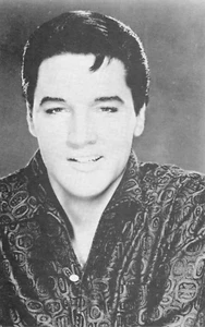 Elvis Presley Black Shirt Young Singer Entertainer Cardboard Photo Postcard - Picture 1 of 1