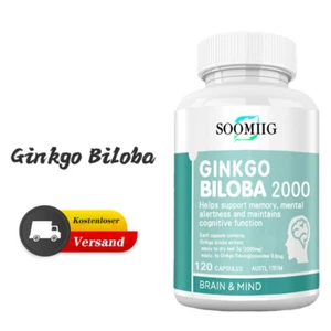 Ginkgo Biloba 2000mg Konzentration Ginko Gingo Gingko - Vegan - Bild 1 von 11