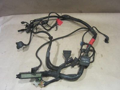 Ferrari 348 TB/TS - Cables de conexión principales LH - P/N 139491 Foto 1 de 4