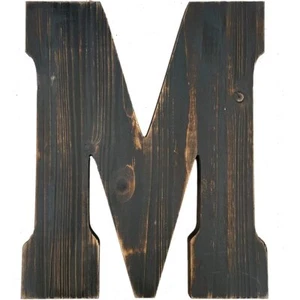 BIG LETTER WALL ART FOR LIVING ROOM BATHROOM BEDROOM AND HOME DECOR RUSTIC FARMH - Picture 1 of 8