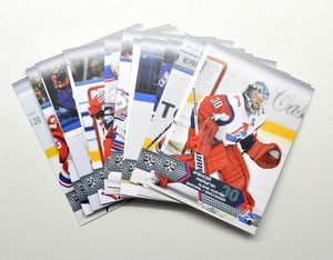2015-16 KHL Lokomotiv Yaroslavl Pick a Player Card