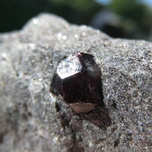 Mineralien *** ROTER GRANAT ALMANDIN auf METAMORPHER MATRIX BRASILIEN - Bild 1 von 2