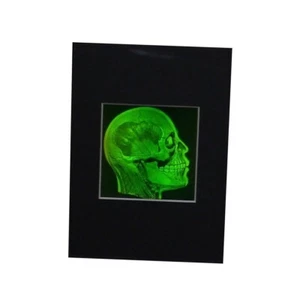Imagen de holograma enmarañada cerebro/cráneo, película de fotopolímero Polaroid coleccionable - Imagen 1 de 7