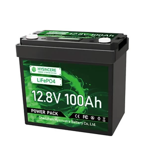12V 100Ah LiFePO4 Lithium Batterie Akku BMS Solarbatterie Solaranlage RV - Bild 1 von 7