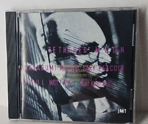 Plays Kurt Weill by Tethered Moon (CD, Jun-1995, JMT) - Bild 1 von 3