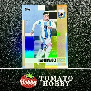 TOPPS TEAM SET 2024-25 ENZO FERNANDEZ /50 GOLD REFRACTOR ARGENTINA - Picture 1 of 2