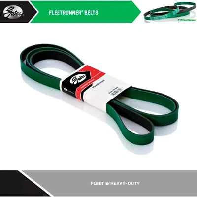 Cinturón Gates Serpentine Fleetrunner cinturón de alta resistencia para Mack LE / MR / Orion Bus Foto 1 de 4