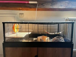 Cage hamster + parc + armoire + accessoires - Photo 1/6