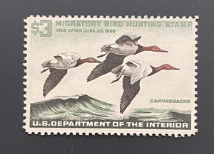 TangStamps: Bund Entenmarke 1965-1966 #RW32 postfrisch DG CV 100 $ - Bild 1 von 2