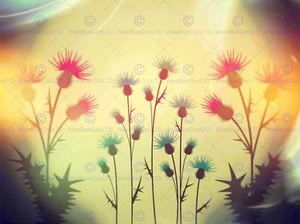 Hipster Thistles Scotland Cool Effect Scottish Art Canvas Print - Bild 1 von 5