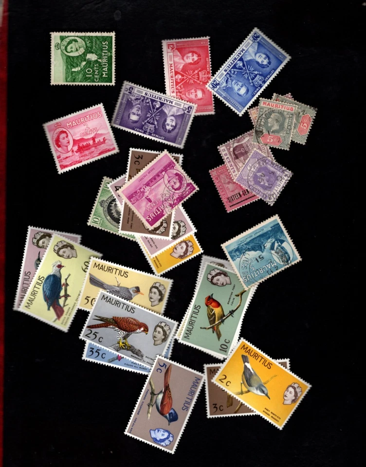 Mauricio - Bonito lote Foto 1 de 1