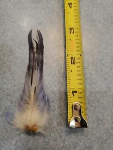 Plumas de cola de periquito periquito completo YV11 v11 - Imagen 1 de 3