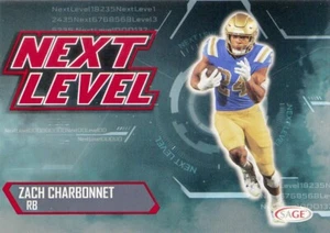 2023 Sage Hendon Hooker  NEXT LEVEL Red #86 University of Tennessee QB Lions - Picture 1 of 2