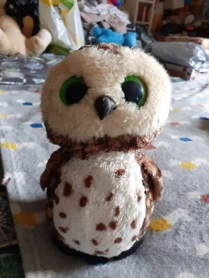 Ty Beanie Boos Sammy The Brown Owl, Medium Plush Soft Toy - Image 1 of 4