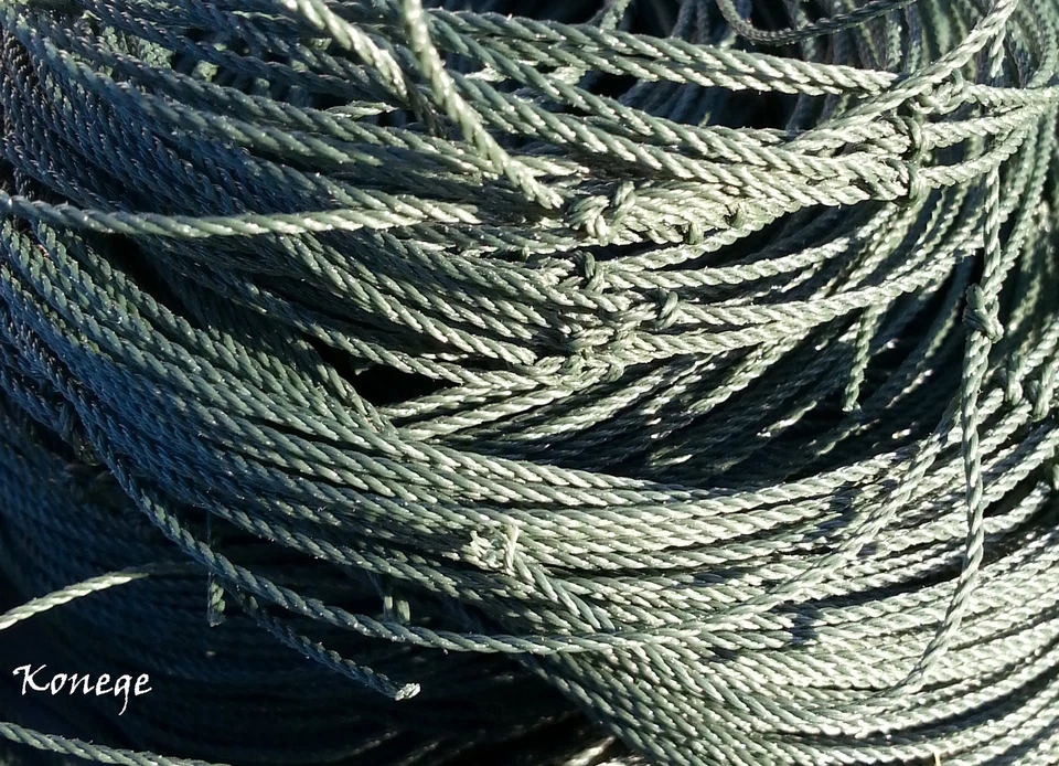 Teichnetz 15m x 20m Maschenweite 10cm Reiherschutznetz Vogelabwehrnetz dklgrün - Bild 1 von 2