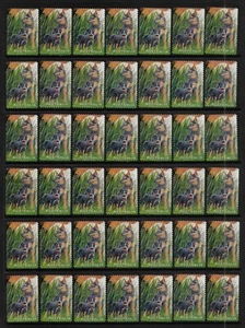 AUSTRALIA 1996 Australian Pets, Blue Heeler Dogs, P&S, bulk lot No.6, used x 42 - Picture 1 of 1