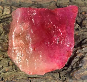 Natural Brazilian Bi- Color Tourmaline 199.25 Ct Gemstone Rough Certified E2712 - Picture 1 of 8