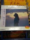 Kaori Momoi LP Japanese Import - Vinyl Record - Kaori Land - Read Below