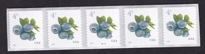 Scott #5653 Blueberries Plate # Coil (PNC5) of 5 Stamps - MNH - Picture 1 of 1