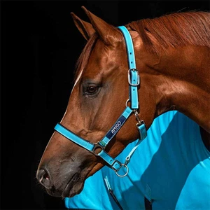 Amigo Padded Nylon Halter - Closeout - Picture 1 of 6