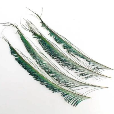 MARKENLOS 16 Pfauenfedern ca 20-25cm Federn Vogel Pfau Peacock feathers grün blau Schimmer